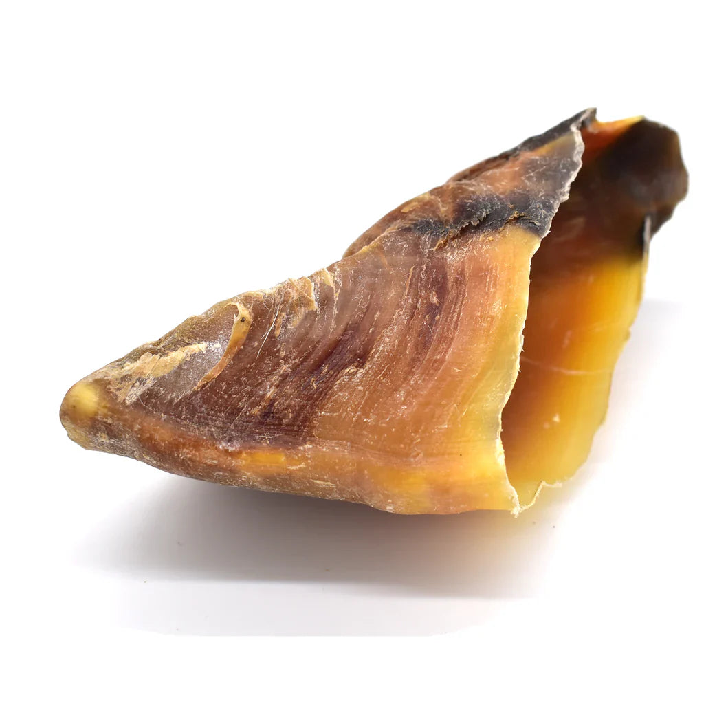 sabot_de_veau_chien