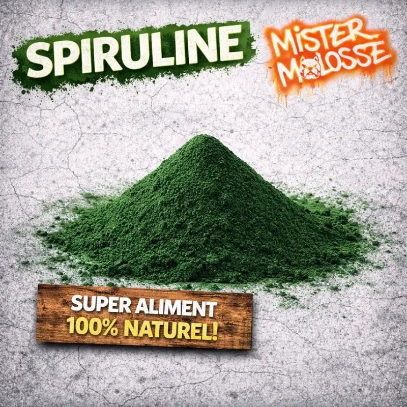 spiruline pour chien