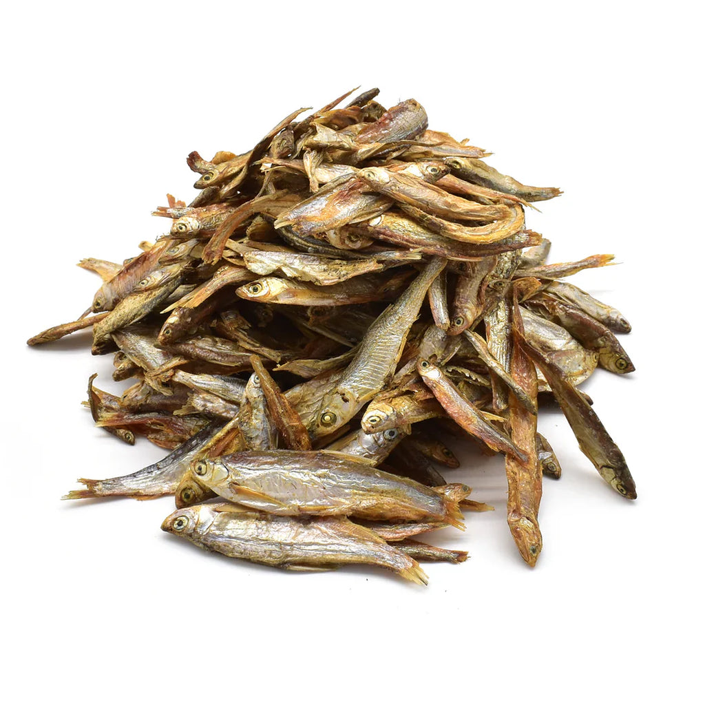 sprats chien