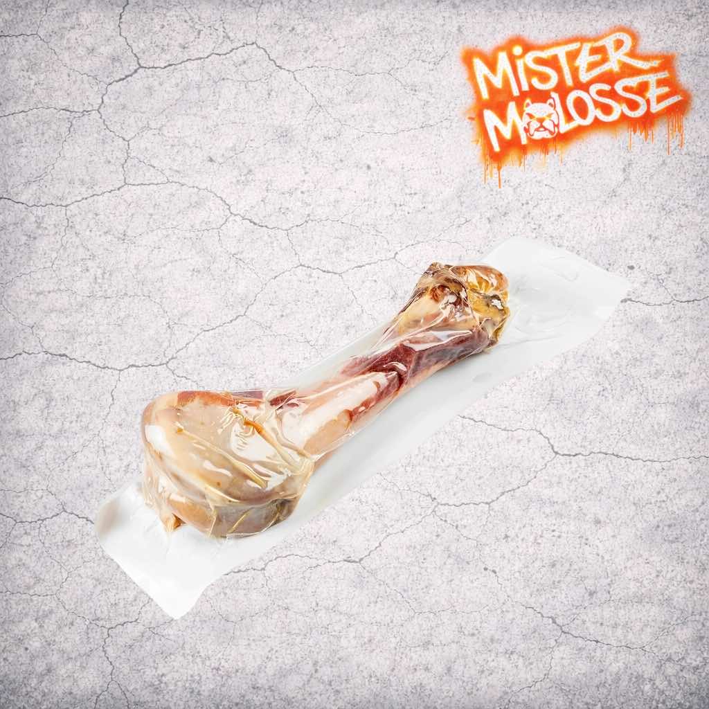 tibia de porc chien mastication
