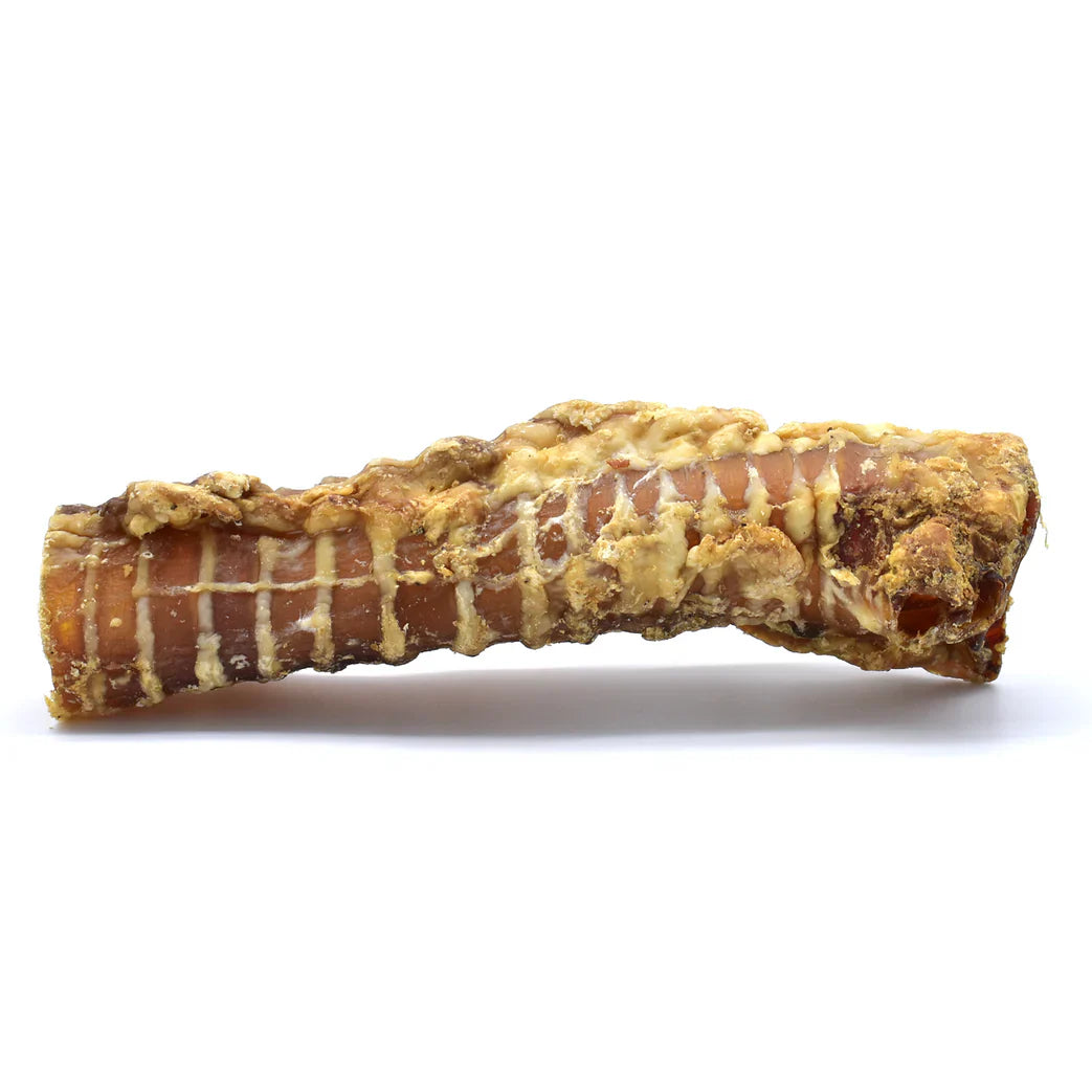 trachée de boeuf pour chien