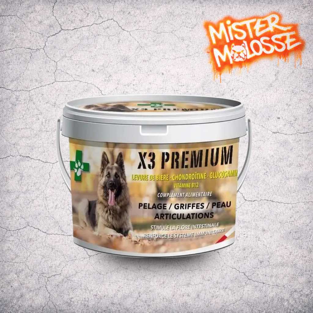 complément alimentaire pour chien X3 Premium