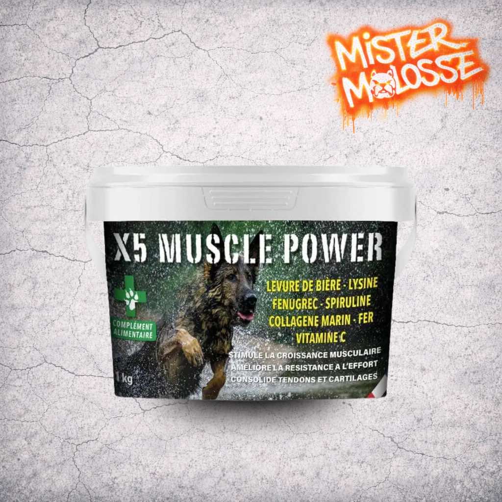 x5_muscle pour chien