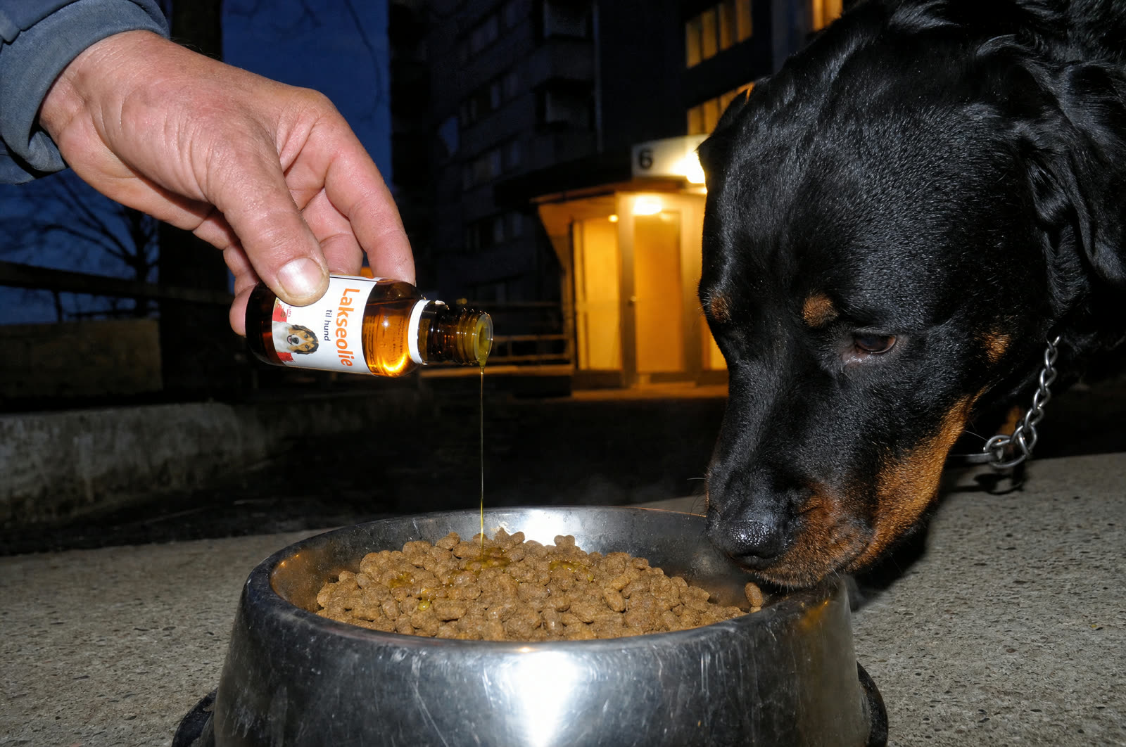 Compléments pour la peau, le pelage et l’hygiène du chien | LUBRIFICATION & FINITION - LE PROTOCOLE D’ENTRETIEN DU CLAN